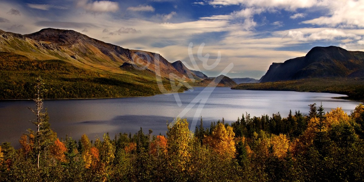 Trout River Pond, Gros Morne